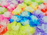 แบบแพ็คแล้วเซ็ต 3 สี 