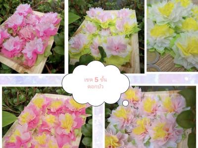 แบบแผ่น เซ็ต 5 ชั้น ชั้นละ 100 แผ่น