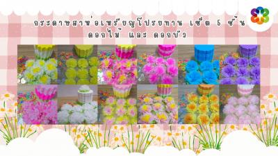 แบบแพ็คแล้ว เซ็ต5ชั้น 500 แผ่น